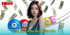 Soi cầu hôm nay miền Bắc chính xác tại Mb66 miễn phí