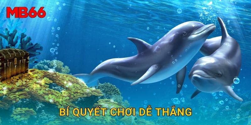 Bí quyết chơi dễ thắng